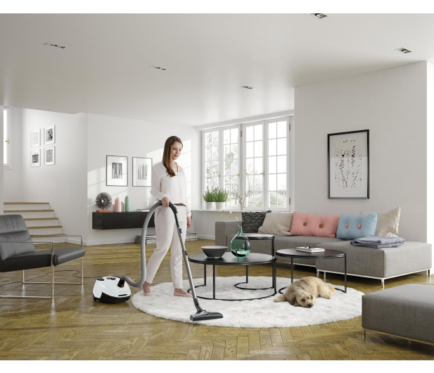 Electrolux ODKURZACZ SILENT PERFORMER, ESP754IW### - 1380340 - zdjęcie 3